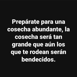 Meet your Posher, Arocho